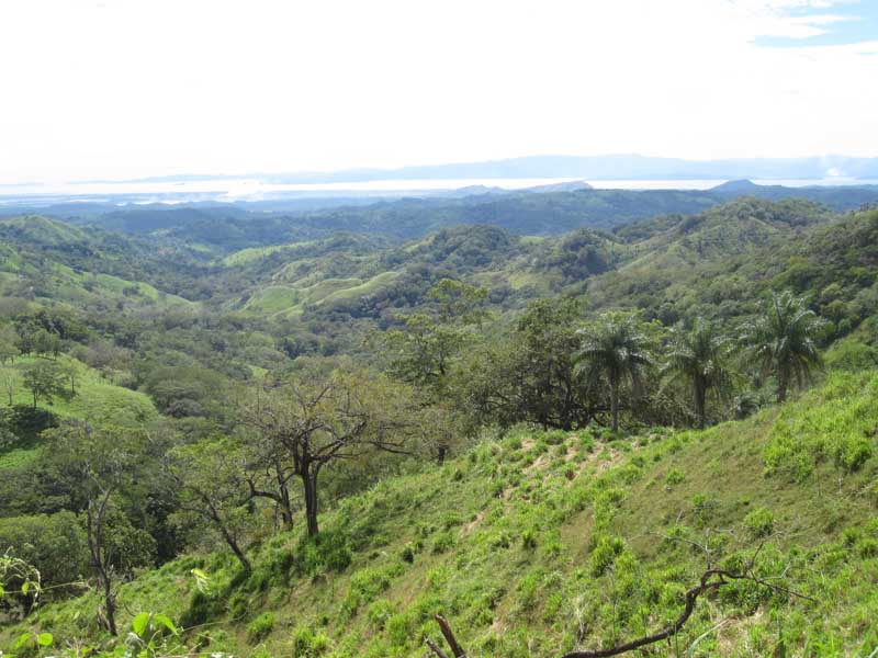 Monteverde NP